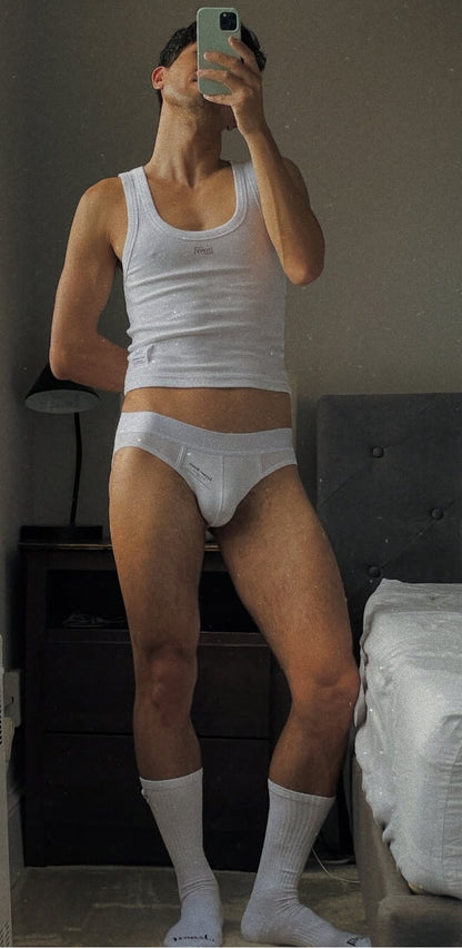 The Twilight Brief